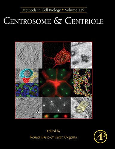 Stock image for Centrosome & Centriole (Methods in Cell Biology): Volume 129 for sale by Chiron Media