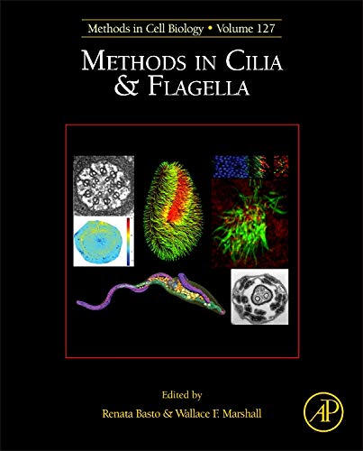 9780128024515: Methods in Cilia & Flagella: 127 (Methods in Cell Biology): Volume 127