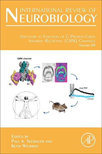 Stock image for Structure to Function of G Protein-Gated Inwardly Rectifying (Girk) Channels (International Review of Neurobiology): Volume 123 for sale by Chiron Media