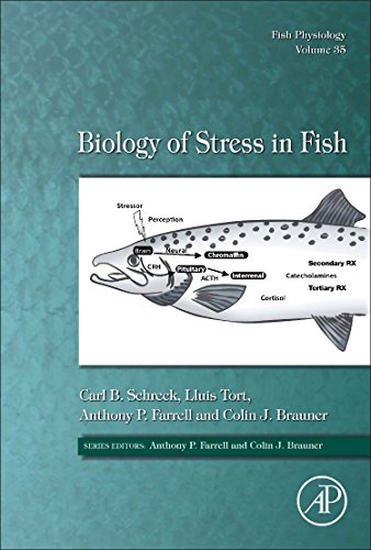 Beispielbild fr Biology of Stress in Fish (Volume 35) (Fish Physiology, Volume 35) zum Verkauf von HPB-Red