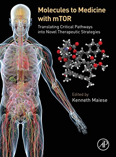 Stock image for Molecules to Medicine with mTOR: Translating Critical Pathways into Novel Therapeutic Strategies for sale by HPB-Red