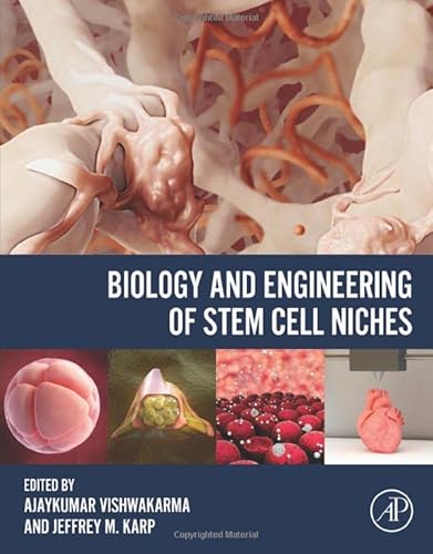 Stock image for Biology and Engineering of Stem Cell Niches for sale by HPB-Red