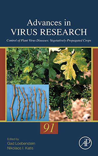 Stock image for Control of Plant Virus Diseases: Vegetatively-Propagated Crops: 91 (Advances in Virus Research): Volume 91 for sale by Brook Bookstore On Demand