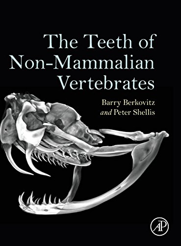 Imagen de archivo de The Teeth of Non-Mammalian Vertebrates a la venta por Brook Bookstore On Demand