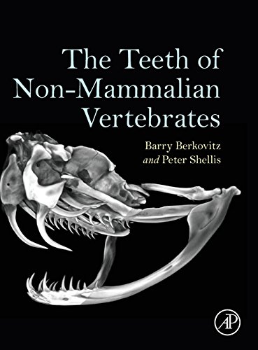 Stock image for The Teeth of Non-Mammalian Vertebrates for sale by GF Books, Inc.