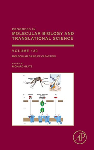 Stock image for Molecular Basis of Olfaction: 130 (Progress in Molecular Biology and Translational Science) for sale by Chiron Media