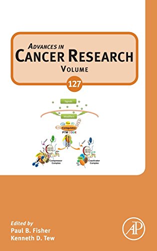 Stock image for Advances in Cancer Research: Volume 127 for sale by ThriftBooks-Dallas