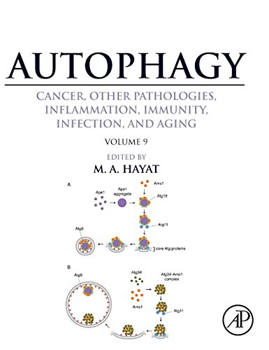 Stock image for Autophagy: Cancer, Other Pathologies, Inflammation, Immunity, Infection, and Aging: Human Diseases and Autophagosome Volume 9: Volume 9: Human Diseases and Autophagosome for sale by Chiron Media