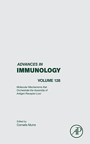 Stock image for Long Range Regulation of V(D)J Recombination (Advances in Immunology): Volume 128 for sale by Chiron Media