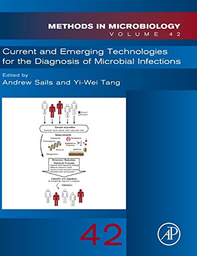 Stock image for Current and Emerging Technologies in Microbial Diagnostics (Methods in Microbiology): Volume 42 for sale by Chiron Media