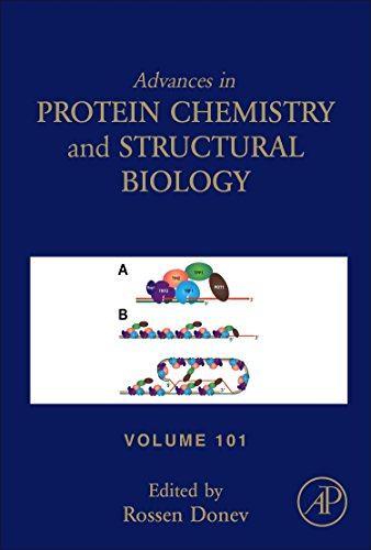 Stock image for Advances in Protein Chemistry and Structural Biology (Advances in Protein Chemistry & Structural Biology): Volume 101 for sale by Chiron Media