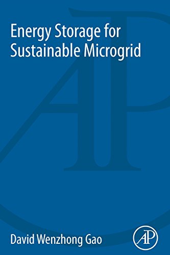 Beispielbild fr Energy Storage for Sustainable Microgrid zum Verkauf von Brook Bookstore On Demand