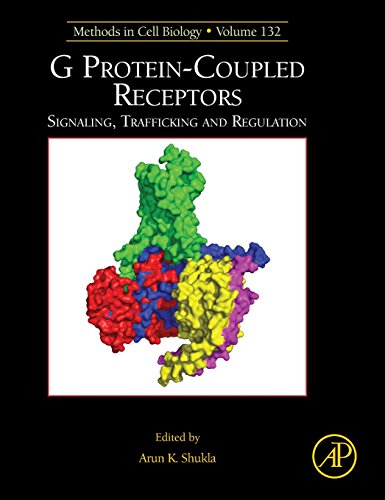 9780128035955: G Protein-Coupled Receptors: Signaling, Trafficking and Regulation: Volume 132 (Methods in Cell Biology, Volume 132)