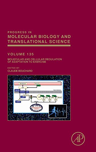 Stock image for Molecular and Cellular Regulation of Adaptation to Exercise (Progress in Molecular Biology and Translational Science): Volume 135 for sale by Chiron Media