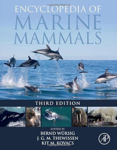 Stock image for Encyclopedia of Marine Mammals for sale by HPB-Red