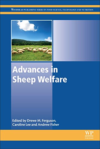 Stock image for Quantum Inspired Computational Intelligence: Research and Applications for sale by Majestic Books