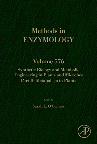 Beispielbild fr Synthetic Biology and Metabolic Engineering in Plants and Microbes Part B: Metabolism in Plants (Volume 576) (Methods in Enzymology, Volume 576) zum Verkauf von Brook Bookstore On Demand