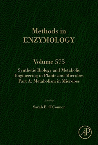 Beispielbild fr Synthetic Biology and Metabolic Engineering in Plants and Microbes Part A: Metabolism in Microbes (Volume 575) (Methods in Enzymology, Volume 575) zum Verkauf von Brook Bookstore On Demand