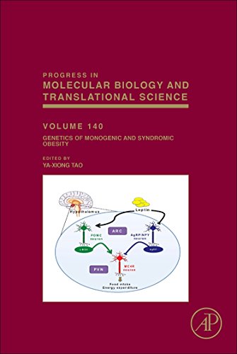 Stock image for Genetics of Monogenic and Syndromic Obesity: Volume 140 (Progress in Molecular Biology and Translational Science) for sale by Brook Bookstore On Demand