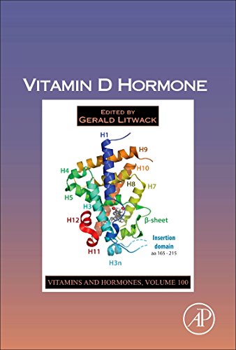 Stock image for Vitamins and Hormones: Vitamin D Hormone (Volume 100) for sale by Anybook.com