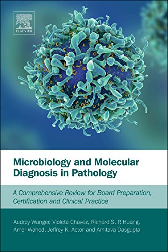 Stock image for Microbiology and Molecular Diagnosis in Pathology: A Comprehensive Review for Board Preparation, Certification and Clinical Practice for sale by HPB-Red