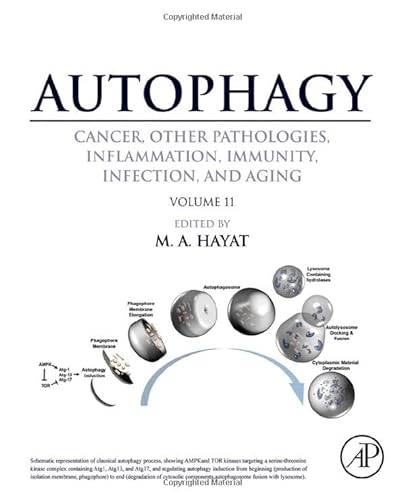 Stock image for Autophagy: Cancer, Other Pathologies, Inflammation, Immunity, Infection, and Aging for sale by Reuseabook