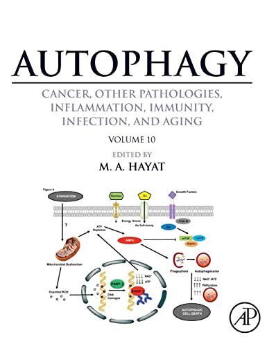 Stock image for Autophagy: Cancer, Other Pathologies, Inflammation, Immunity, Infection, and Aging: Volume 10 for sale by Chiron Media