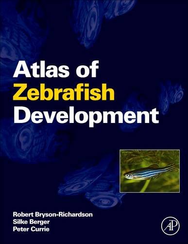 9780128103456: Atlas of Zebrafish Development