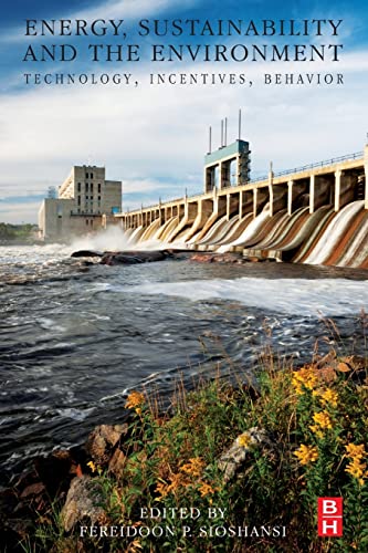 Stock image for Energy, Sustainability and the Environment: Technology, Incentives, Behavior for sale by Brook Bookstore On Demand