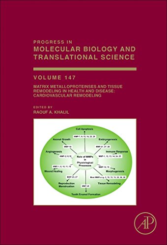 Stock image for Matrix Metalloproteinases and Tissue Remodeling in Health and Disease: Cardiovascular Remodeling (Volume 147) (Progress in Molecular Biology and Translational Science, Volume 147) for sale by Brook Bookstore On Demand