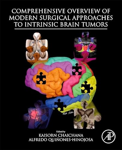 Imagen de archivo de Comprehensive Overview of Modern Surgical Approaches to Intrinsic Brain Tumors a la venta por Brook Bookstore On Demand