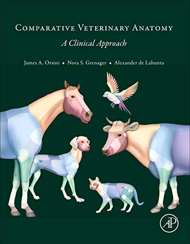 Stock image for Comparative Veterinary Anatomy: A Clinical Approach for sale by Mispah books