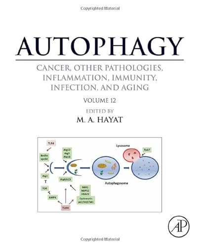 Stock image for Autophagy: Cancer, Other Pathologies, Inflammation, Immunity, Infection, and Aging: Volume 12 for sale by Chiron Media