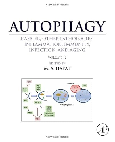 9780128121467: Autophagy: Cancer, Other Pathologies, Inflammation, Immunity, Infection, and Aging: Volume 12