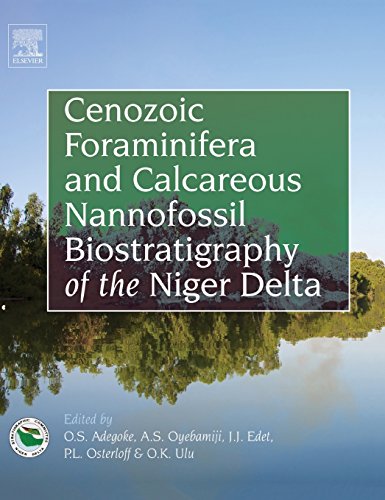 Stock image for Cenozoic Foraminifera and Calcareous Nannofossil Biostratigraphy of the Niger Delta for sale by Brook Bookstore On Demand