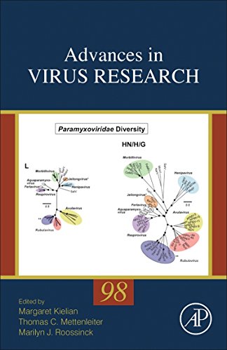 Stock image for Advances in Virus Research: Vol 98 for sale by Revaluation Books
