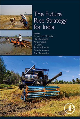 Beispielbild fr The Future Rice Strategy for India zum Verkauf von Brook Bookstore On Demand