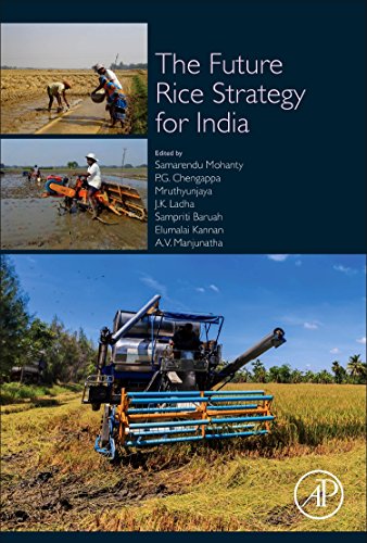 Stock image for The Future Rice Strategy for India for sale by Revaluation Books