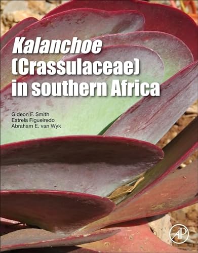 Stock image for Kalanchoe (Crassulaceae) in Southern Africa: Classification, Biology, and Cultivation for sale by Book Deals