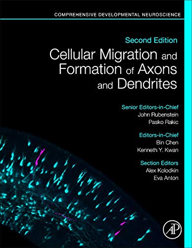 Stock image for Cellular Migration and Formation of Axons and Dendrites: Comprehensive Developmental Neuroscience for sale by Brook Bookstore On Demand