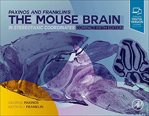 Stock image for Paxinos and Franklin's the Mouse Brain in Stereotaxic Coordinates, Compact: The Coronal Plates and Diagrams for sale by GF Books, Inc.