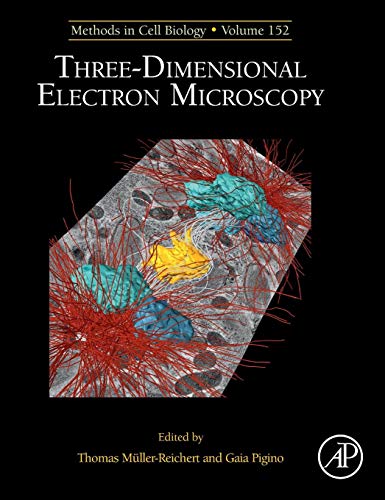 9780128170182: Three-Dimensional Electron Microscopy: Volume 152 (Methods in Cell Biology)