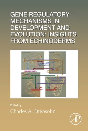 Stock image for Gene Regulatory Mechanisms in Development and Evolution: Insights from Echinoderms (Volume 146) (Current Topics in Developmental Biology, Volume 146) for sale by Open Books