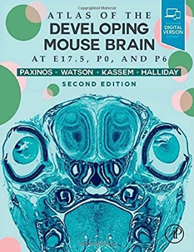 Stock image for Atlas of the Developing Mouse Brain for sale by GF Books, Inc.