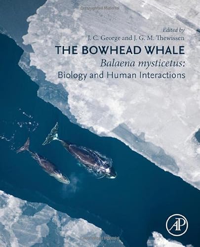 Stock image for The Bowhead Whale: Balaena Mysticetus: Biology and Human Interactions for sale by GF Books, Inc.