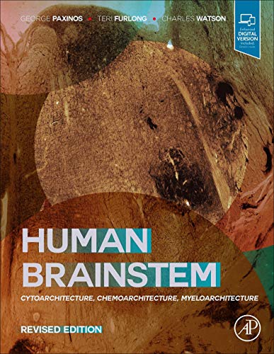 Stock image for Human Brainstem: Cytoarchitecture, Chemoarchitecture, Myeloarchitecture for sale by GF Books, Inc.