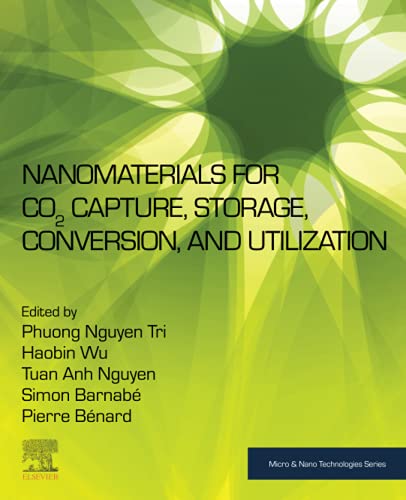 Imagen de archivo de Nanomaterials for Co2 Capture, Storage, Conversion and Utilization a la venta por Revaluation Books