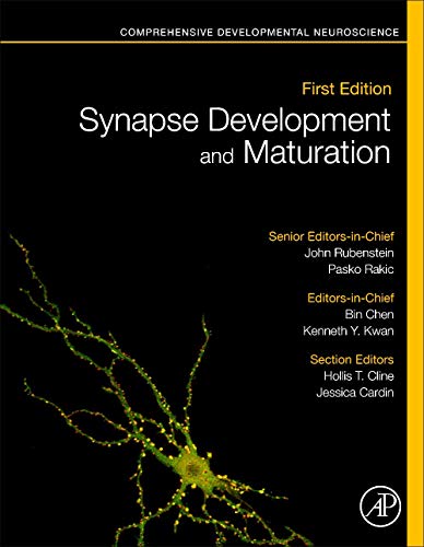 Stock image for SYNAPSE DEVELOPMENT AND MATURA for sale by Brook Bookstore On Demand