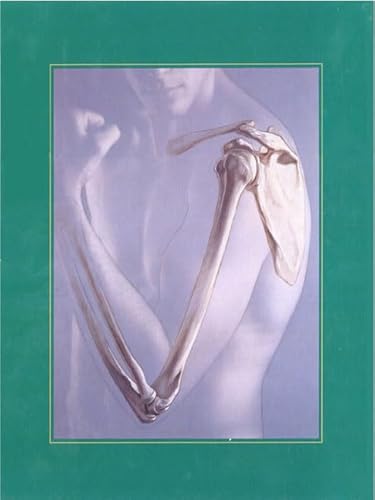 Stock image for Human Anatomy for sale by ThriftBooks-Atlanta