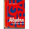 Stock image for Algebra, an Incremental Approach for sale by -OnTimeBooks-